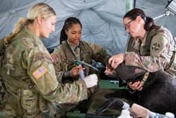 Operation Sentinel Justice Combines Real-World Medical Support and Training to Strengthen AR-MEDCOM, MRTC Readiness