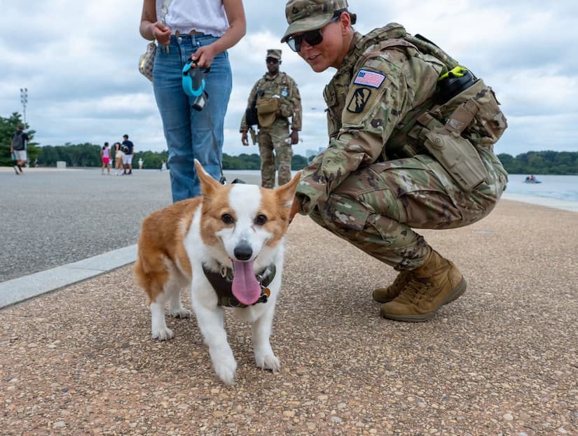 Always Present: Joint Task Force D.C. Patrols the City